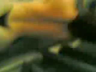 놀랄만한 둥근 바보 전의 glf